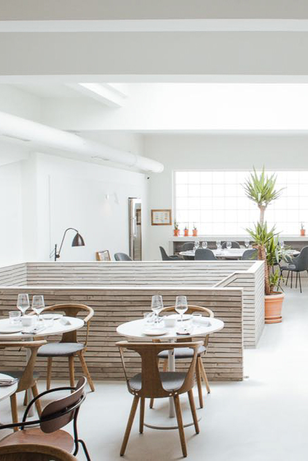 Corso Terra Dragwire Colonia - BB (S.Anselmo)