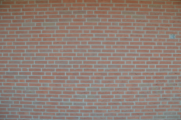 Barendrecht (NL) - Roodpaars HV WF 