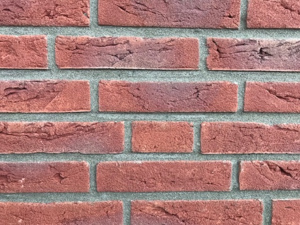 Bladel (NL) - Bommels Bont HV WF 