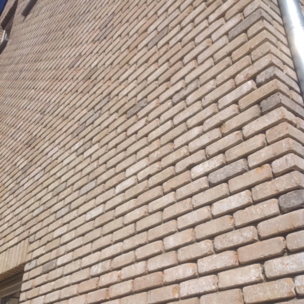 As (BE) - Texas VB EF