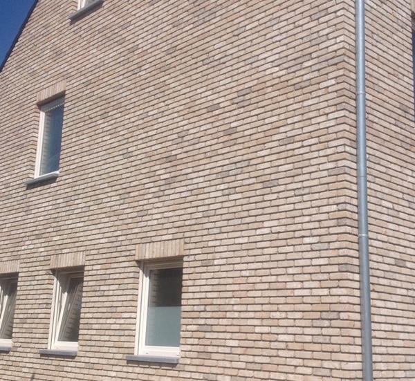 As (BE) - Texas VB EF