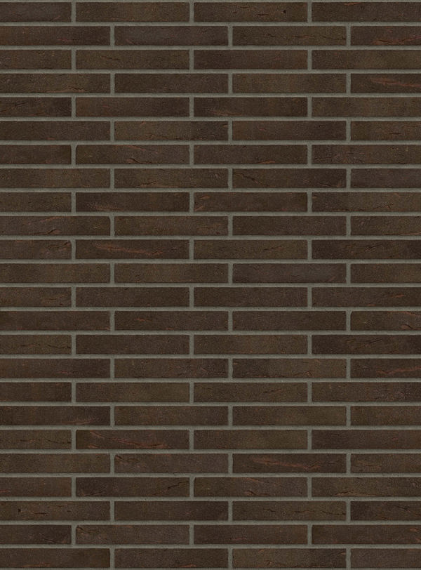 Guinea Rock DL50 (Ploegsteert)