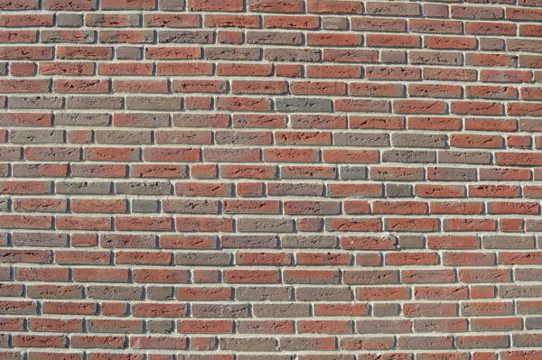 Poeldijk (NL) - Bommels Bont HV WF Redux