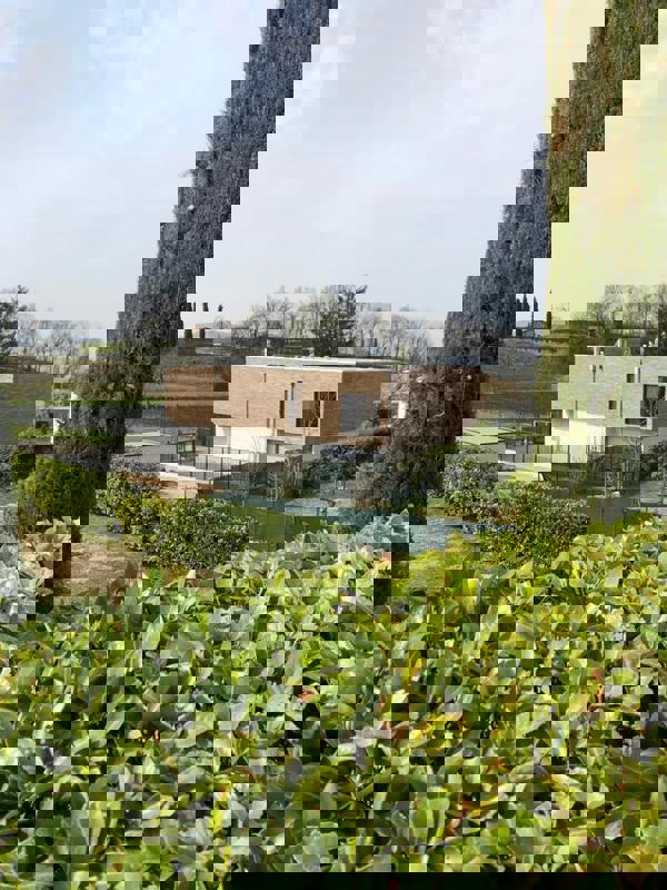 Zwitserland - Corso Terra Dragwire Vintage - VTB (S.Anselmo) - 905