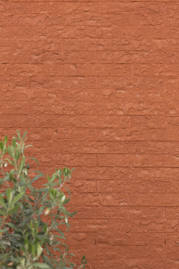 Putte (BE) - Amaranthis Rock DL50