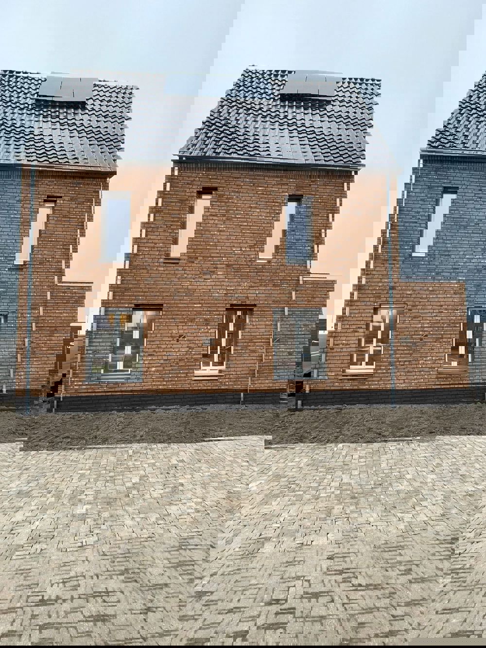 Zeewolde (NL) Macaroon Yellow Flame WF HV