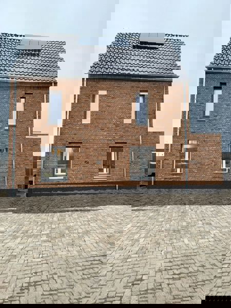 Zeewolde (NL) Macaroon Yellow Flame WF HV