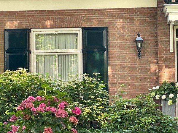 Dalen (NL) - Roodpaars WF HV